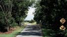 Horse and buggy country, upstate NY