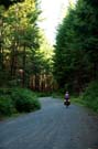 The road less travelled - trying out the logging roads