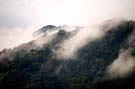 Jungle clouds