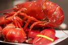 Lobsta pile