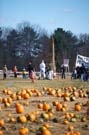 Orchard Cross Costume Race 2