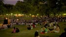 The park comes alive after sunset