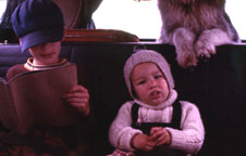 Peter, Sam and Sheba in the backseat of the VW Bus