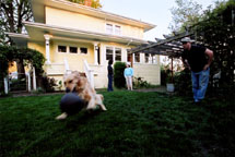 Fin pouncing on the ball