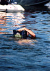 Ever see a case of beer swim fast?