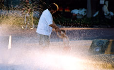 Dad, come with me into the fountain!