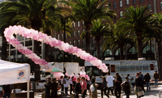 breast cancer balloons taking a walk