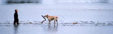 Remember those days when the dog was your best friend?