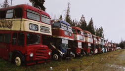 double decker bus collection?