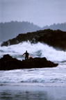 Surf Swept Starry Sweetspot - New Year's Eve in Tofino
