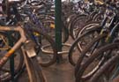 a batch of bikes in the Bristol train station